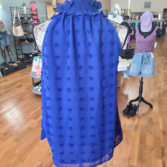 Vine & Love Swiss Dot Blue Sleeveless Blouse Size Small - Picture 3 of 5